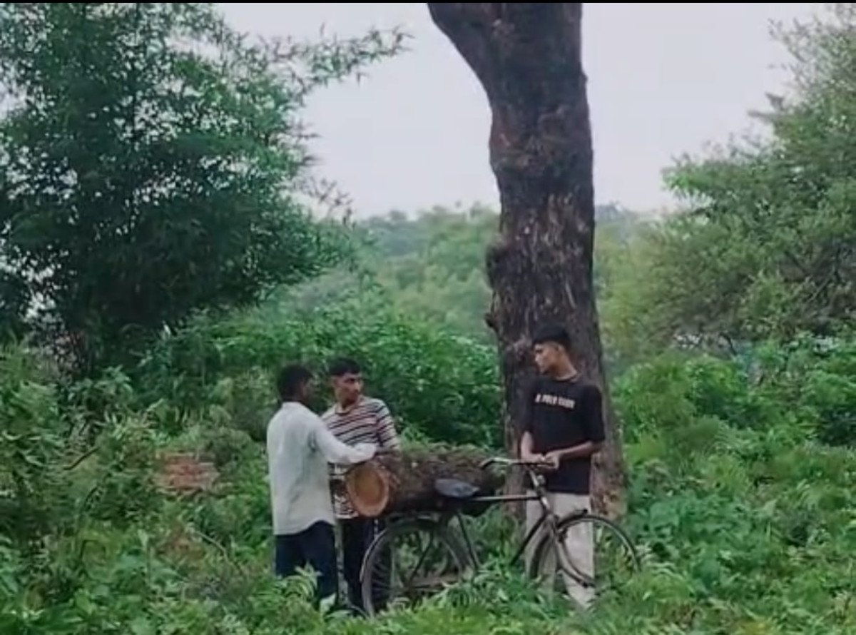 स्थगन आदेश के बावजूद महुआ के हरे पेड़ काटने का आरोप, पीड़ित ने थाने में दी तहरीर