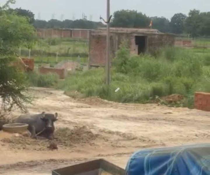 कौशाम्बी में सरकारी जमीन पर अवैध कब्जा: ग्राम प्रधान और लेखपाल पर मिलीभगत के गंभीर आरोप, ग्रामीणों में आक्रोश