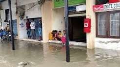 हिमाचल के ऊना में भारी बारिश का कहर, पेड़ उखड़े, सड़कें जलमग्न
