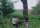 स्थगन आदेश के बावजूद महुआ के हरे पेड़ काटने का आरोप, पीड़ित ने थाने में दी तहरीर