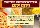 Himachal Pradesh के राशन कार्ड धारकों को डबल राहत: खत्म हुआ सरसों तेल का संकट, जानें नई कीमतें और कोटा
