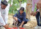 अम्बेडकरनगर में जिलाधिकारी ने अमृत सरोवर और वृक्षारोपण का स्थलीय निरीक्षण कर दिए निर्देश