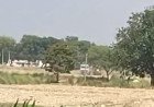 कौशाम्बी: सैंता घाट बना अवैध खनन की मंडी, सिपाही पर मिलीभगत का आरोप; ग्रामीणों ने की FIR की मांग
