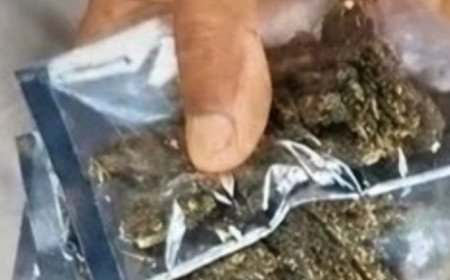 कौशाम्बी में खाकी की नाक के नीचे नशे का खेल: मनौरी पुल के नीचे खुलेआम बिक रहा गांजा, आबकारी और पुलिस मौन!