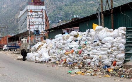 एनजीटी ने कुल्लू में नेहरू पार्क को डंपिंग ग्राउंड बनाने पर लगाई रोक