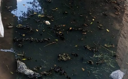 कौशाम्बी: सुखधरनपुर किठाव में सफाई कर्मी नदारद, बिना बारिश के ही 'तालाब' बनीं गलियां, पनप रही बीमारियां