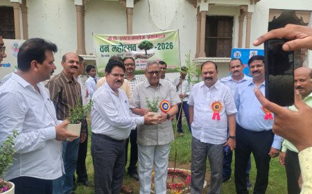 'ग्लोबल वार्मिंग से जंग का एकमात्र हथियार है वृक्षारोपण