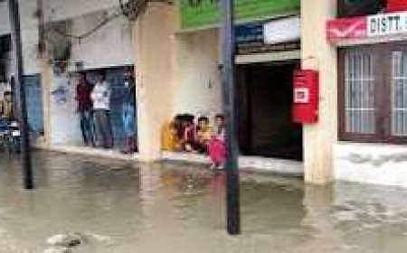 हिमाचल के ऊना में भारी बारिश का कहर, पेड़ उखड़े, सड़कें जलमग्न