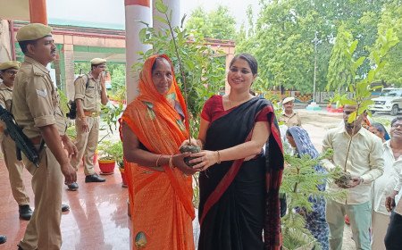 अनोखी पहल: अम्बेडकरनगर कलेक्ट्रेट में लगा फलदार पौधों का भंडारा, बांटे गए फ्री पौधे