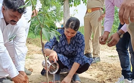 अम्बेडकरनगर में जिलाधिकारी ने अमृत सरोवर और वृक्षारोपण का स्थलीय निरीक्षण कर दिए निर्देश