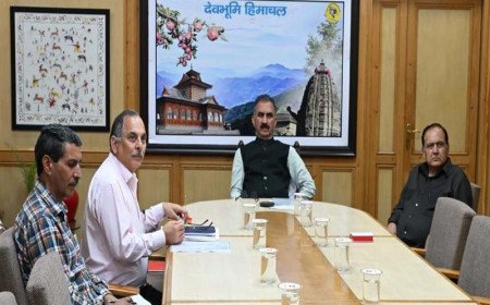 मुख्यमंत्री सुक्खू ने किया ममलीग में 'ग्रीन पंचायत' सौर परियोजना का उद्घाटन