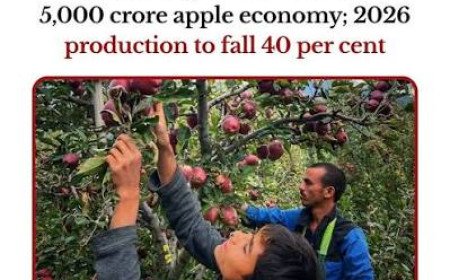जलवायु परिवर्तन की मार से हिमाचल की सेब अर्थव्यवस्था को भारी नुकसान