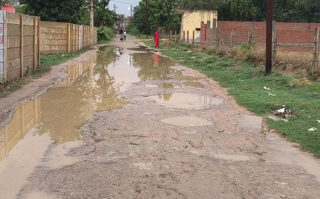 प्रतापगढ़: हल्की बारिश में तालाब बना अलीगंज मार्ग, राहगीरों का निकलना हुआ दूभर