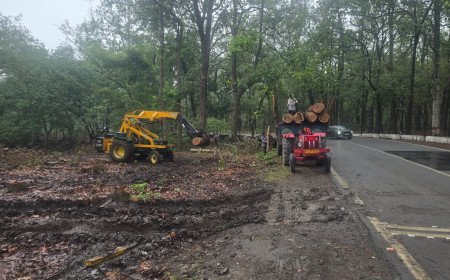ऋषिकेश फोरलेन परियोजना के खिलाफ भड़कीं पर्यावरणविद् प्रियंका नेगी