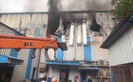बद्दी की फार्मास्युटिकल इकाई में भीषण आग, कोई हताहत नहीं, करोड़ों का नुकसान