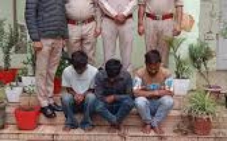 सोलन में महिला को खाई में धकेला, पुलिस ने तीन आरोपियों को दबोचा