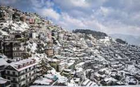 शिमला में १५० से अधिक इमारतें असुरक्षित घोषित, नगर निगम ने खाली करने का दिया आदेश