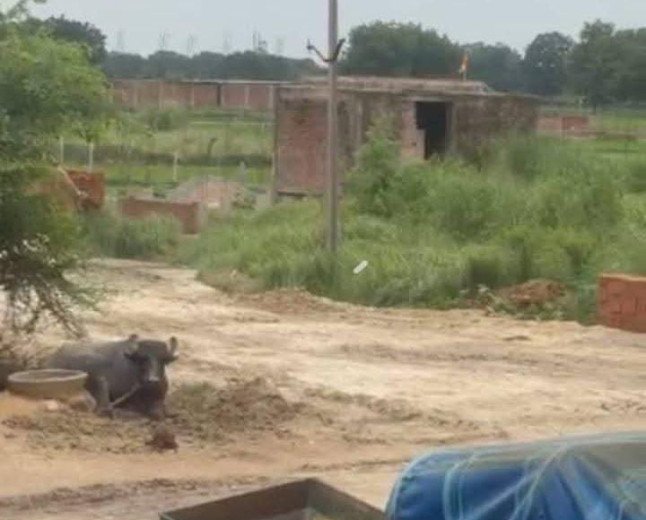 कौशाम्बी में सरकारी जमीन पर अवैध कब्जा: ग्राम प्रधान और लेखपाल पर मिलीभगत के गंभीर आरोप, ग्रामीणों में आक्रोश