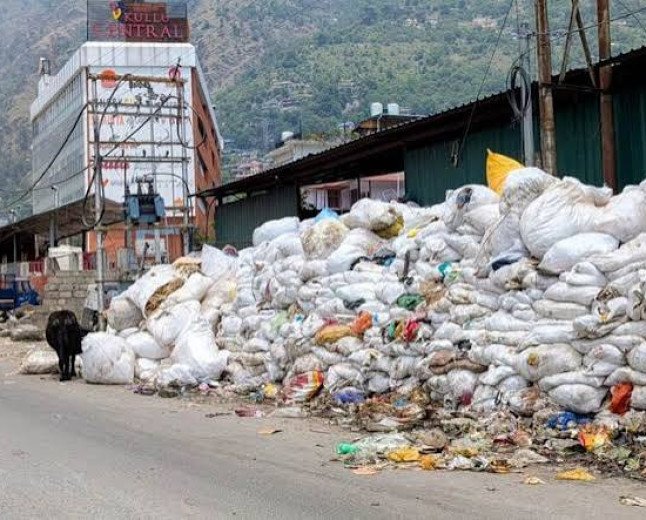 एनजीटी ने कुल्लू में नेहरू पार्क को डंपिंग ग्राउंड बनाने पर लगाई रोक