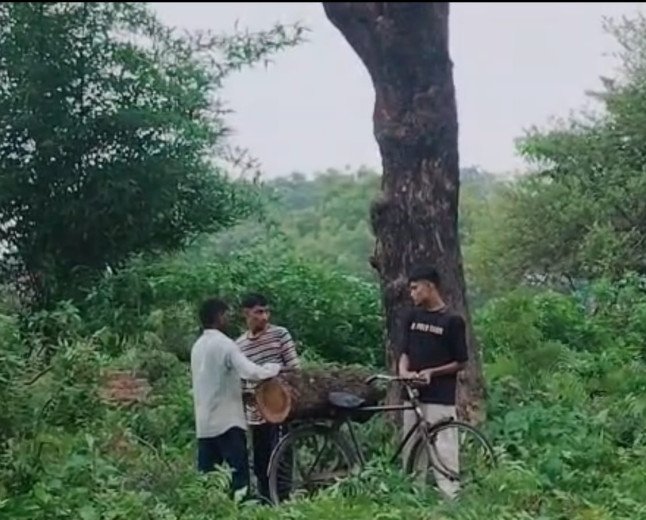 स्थगन आदेश के बावजूद महुआ के हरे पेड़ काटने का आरोप, पीड़ित ने थाने में दी तहरीर