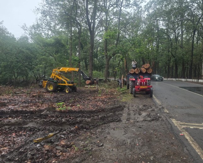 ऋषिकेश फोरलेन परियोजना के खिलाफ भड़कीं पर्यावरणविद् प्रियंका नेगी