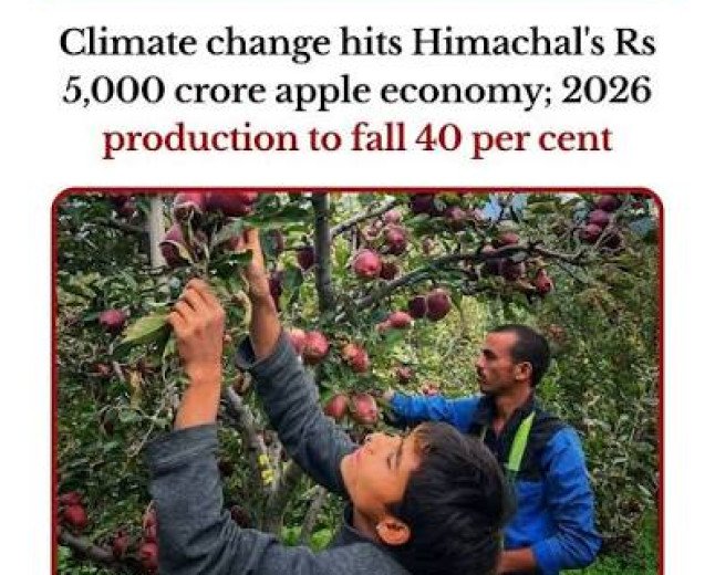 जलवायु परिवर्तन की मार से हिमाचल की सेब अर्थव्यवस्था को भारी नुकसान