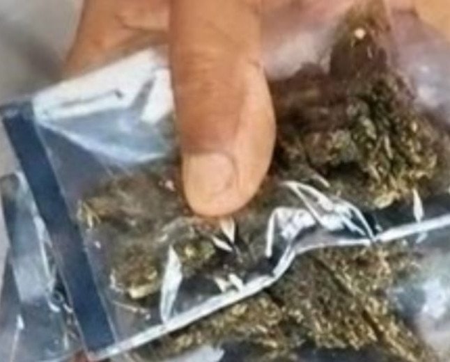 कौशाम्बी में खाकी की नाक के नीचे नशे का खेल: मनौरी पुल के नीचे खुलेआम बिक रहा गांजा, आबकारी और पुलिस मौन!