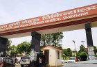देश भर में बढ़ रहे H1N1 स्वाइन फ्लू के मामले: प्रयागराज के SRN अस्पताल में हाई अलर्ट, तैयार किए गए विशेष वार्ड