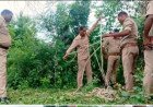 कौशाम्बी: पावर हाउस के पास कुएं में मिला वृद्ध महिला का शव, क्षेत्र में फैली सनसनी