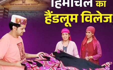 हिमाचल का यह छोटा सा गांव कैसे बना देश का गौरवशाली 'हैंडलूम विलेज'?