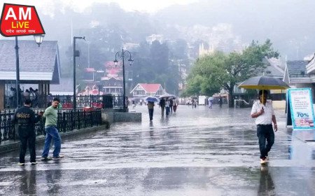 मानसून का रौद्र रूप: हिमाचल में 1168 करोड़ का नुकसान, 98 सड़कें ठप और 237 जिंदगियां खामोश