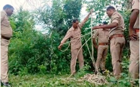 कौशाम्बी: पावर हाउस के पास कुएं में मिला वृद्ध महिला का शव, क्षेत्र में फैली सनसनी