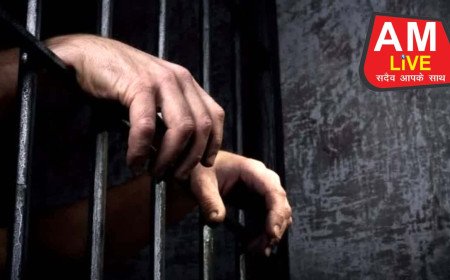  ओवरक्रौडिंग का शिकार हिमाचल की जेलें: 2580 की क्षमता, ठूंसे गए 3355 कैदी; मंडी में 3 गुना से ज्यादा भीड़ 