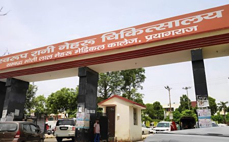 देश भर में बढ़ रहे H1N1 स्वाइन फ्लू के मामले: प्रयागराज के SRN अस्पताल में हाई अलर्ट, तैयार किए गए विशेष वार्ड