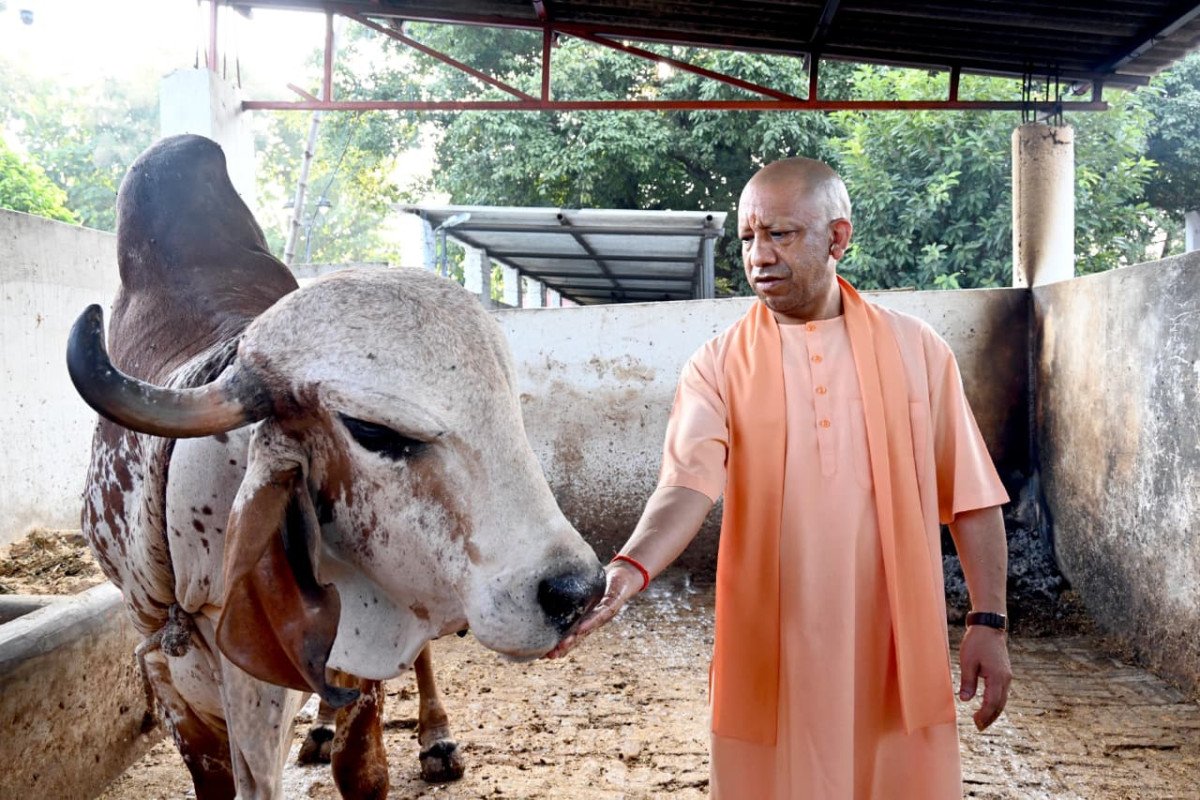 गोरखनाथ मंदिर में मुख्यमंत्री योगी आदित्यनाथ ने लगाया 'जनता दर्शन', गोशाला में की गोसेवा