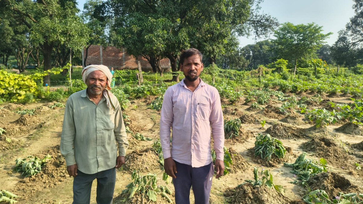 कुंडा: बयान न बदलने पर दबंगों ने उजाड़ी 12 बिस्वा बैंगन की फसल, पीड़ित किसान ने थाने में दी तहरीर