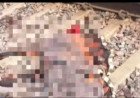भिखियापुर में खुलेआम सजी जुए की महफिल, वीडियो सोशल मीडिया पर वायरल