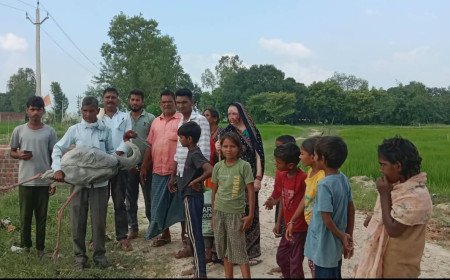 कुंडा: दुलुवामई गांव में खेत में घायल मिला राजकीय पक्षी सारस, इलाज के दौरान तोड़ा दम