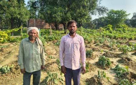 कुंडा: बयान न बदलने पर दबंगों ने उजाड़ी 12 बिस्वा बैंगन की फसल, पीड़ित किसान ने थाने में दी तहरीर
