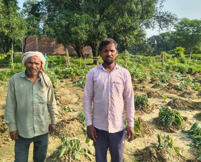 कुंडा: बयान न बदलने पर दबंगों ने उजाड़ी 12 बिस्वा बैंगन की फसल, पीड़ित किसान ने थाने में दी तहरीर