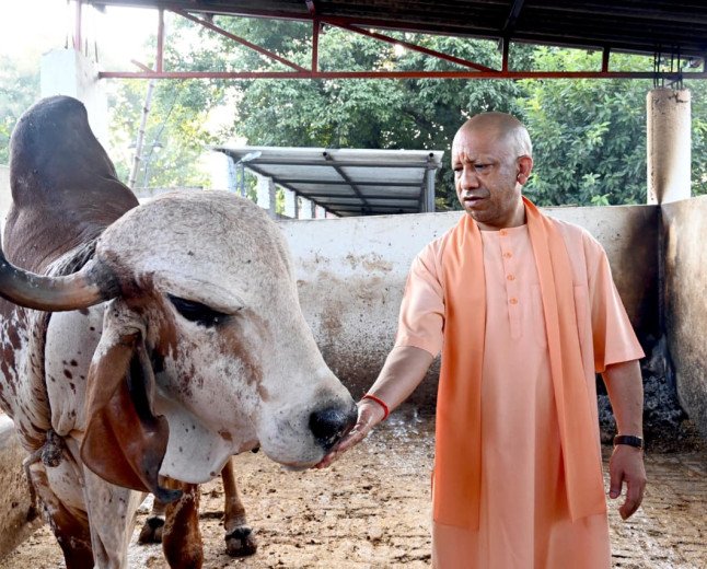 गोरखनाथ मंदिर में मुख्यमंत्री योगी आदित्यनाथ ने लगाया 'जनता दर्शन', गोशाला में की गोसेवा