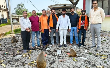 फैजुल्लागंज में बाढ़ प्रभावित बेजुबान जानवरों के लिए आगे आई टीम रवि गांधी, भोजन और राहत सामग्री पहुंचाई