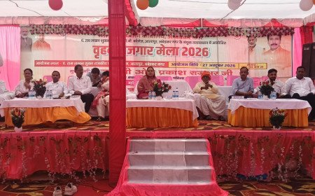 आलापुर में वृहद रोजगार मेले का सफल आयोजन: 22 नामी कंपनियों ने लिया हिस्सा, 809 युवाओं को मिला रोजगार का अवसर