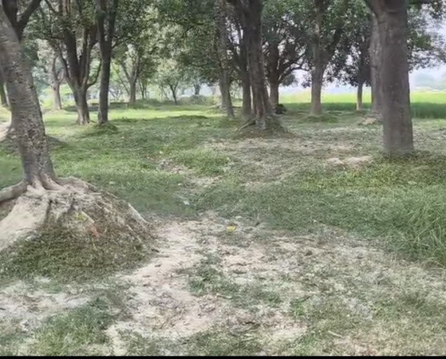 कौशाम्बी: नारा बलीपुर में मरघट की जमीन पर अवैध कब्जे का आरोप, ग्रामीणों में आक्रोश; प्रशासन से न्याय की गुहार